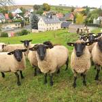 Ansicht Hausdorf - zur Detailansicht wechseln