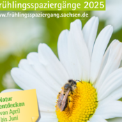 Frühling - zur Detailansicht wechseln