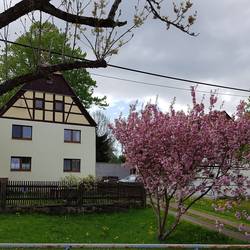 Ferienwohnung Schönberger - Ansicht