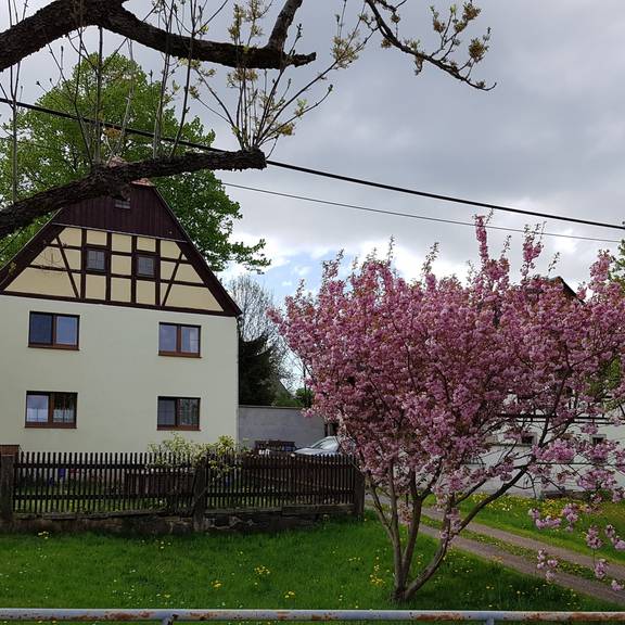 Ferienwohnung Schönberger - Ansicht